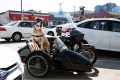 Transporter chien chat  moto
